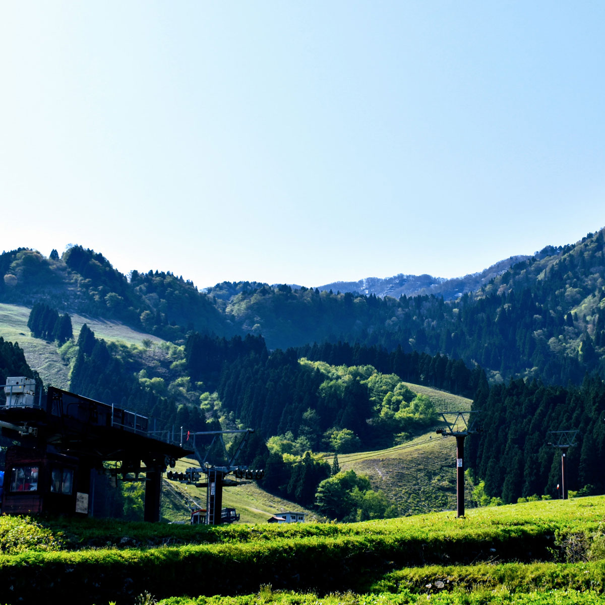 f:id:fukuitabi:20200612120455j:plain