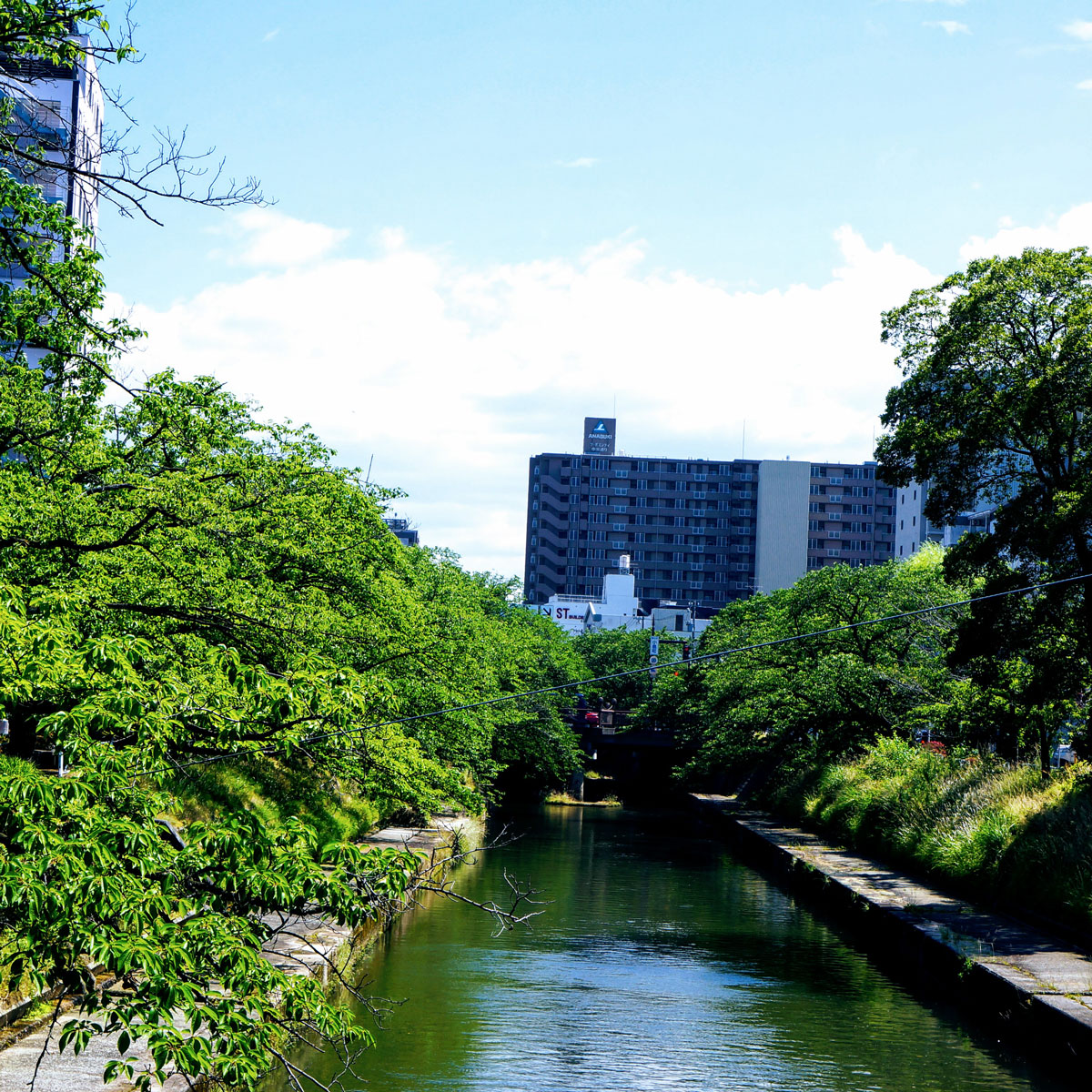 f:id:fukuitabi:20200612133758j:plain