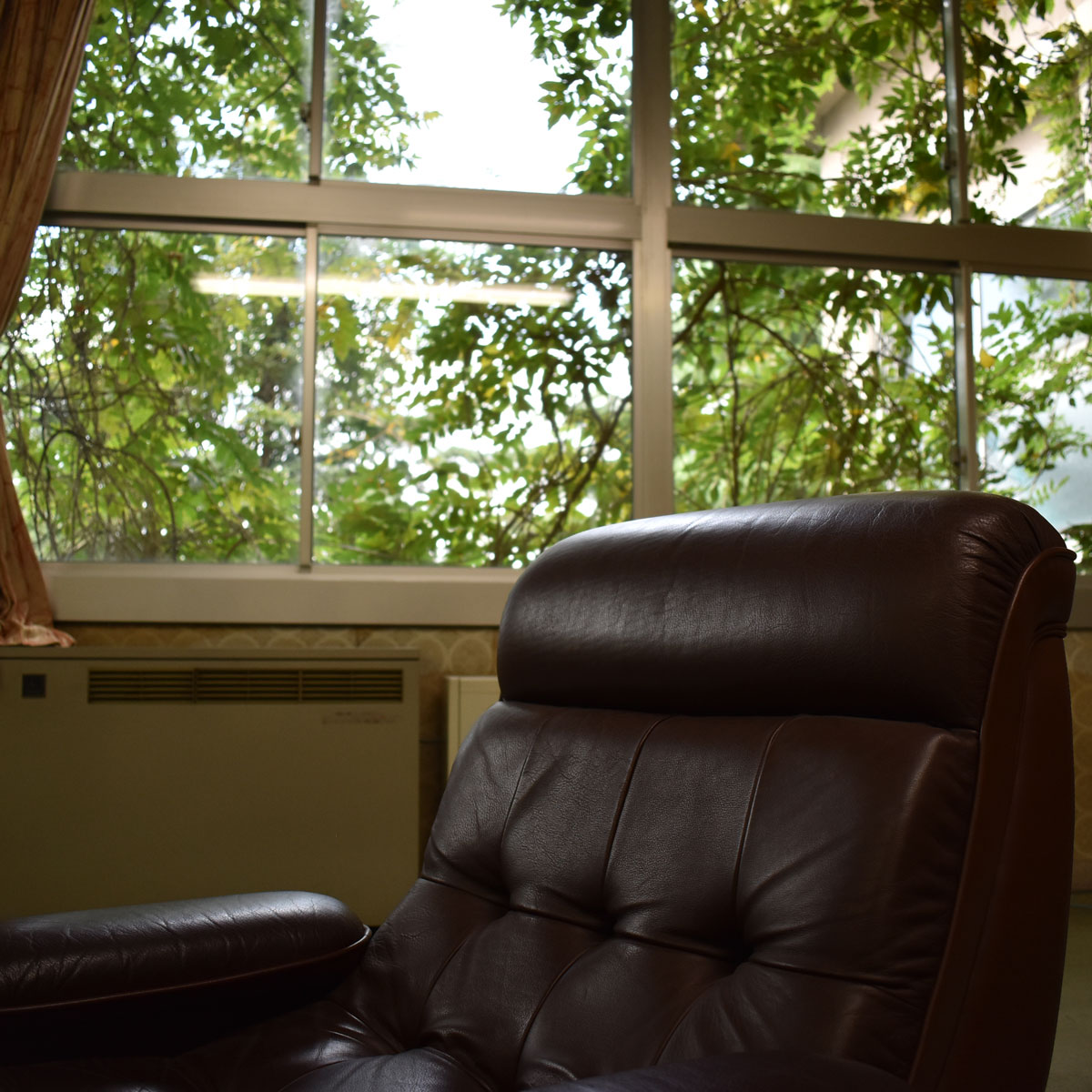 f:id:fukuitabi:20201016202027j:plain