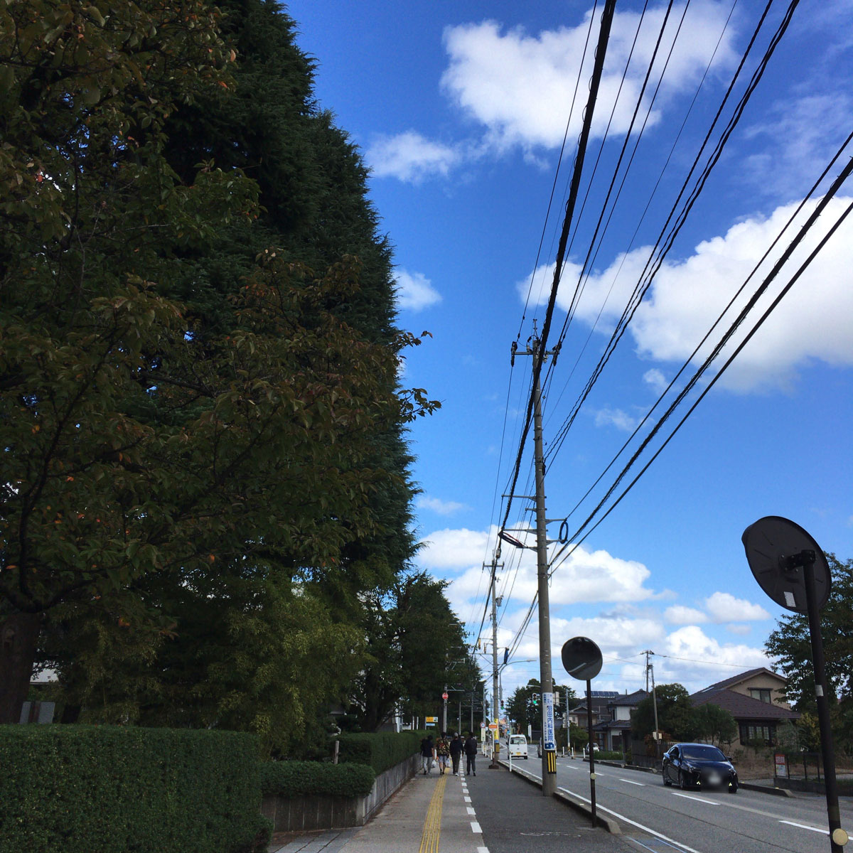 f:id:fukuitabi:20201016210425j:plain