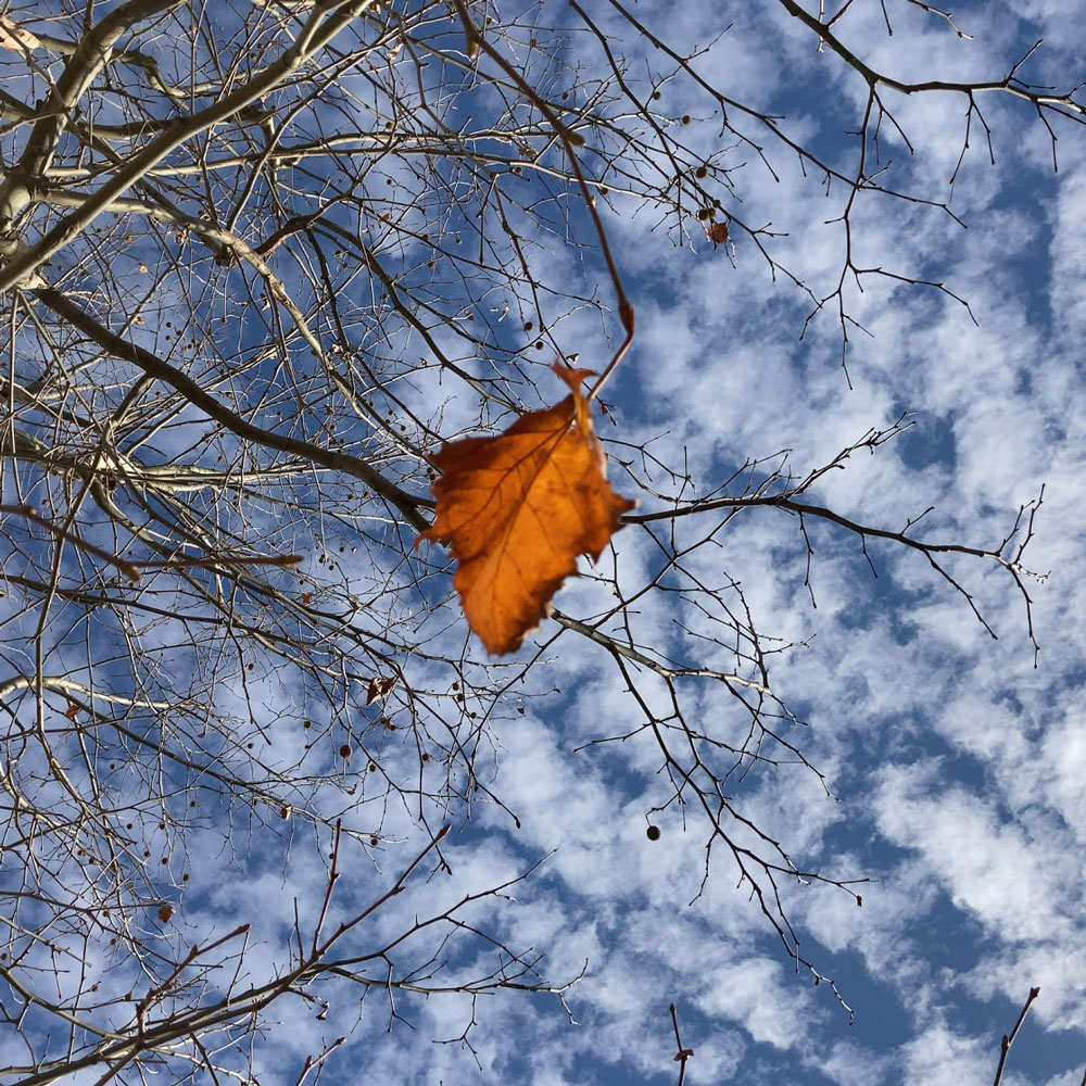 f:id:fukuitabi:20201128152740j:plain