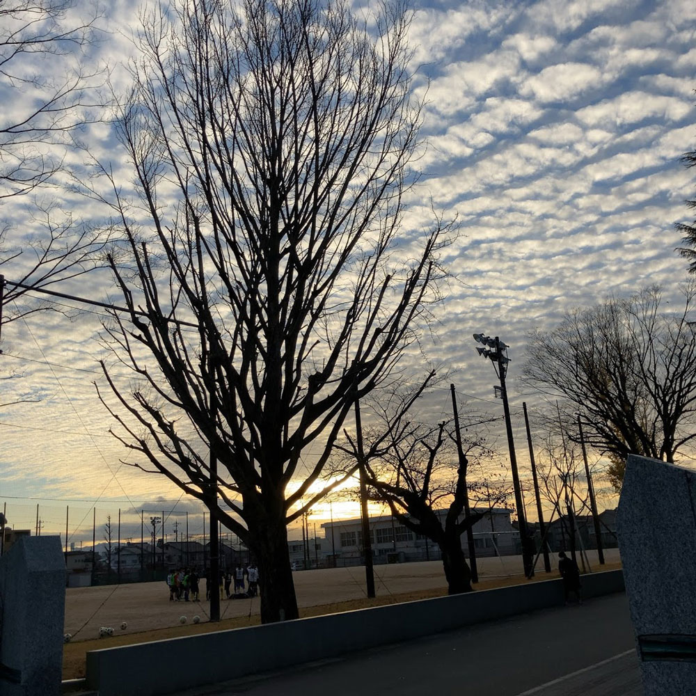 f:id:fukuitabi:20201205091604j:plain