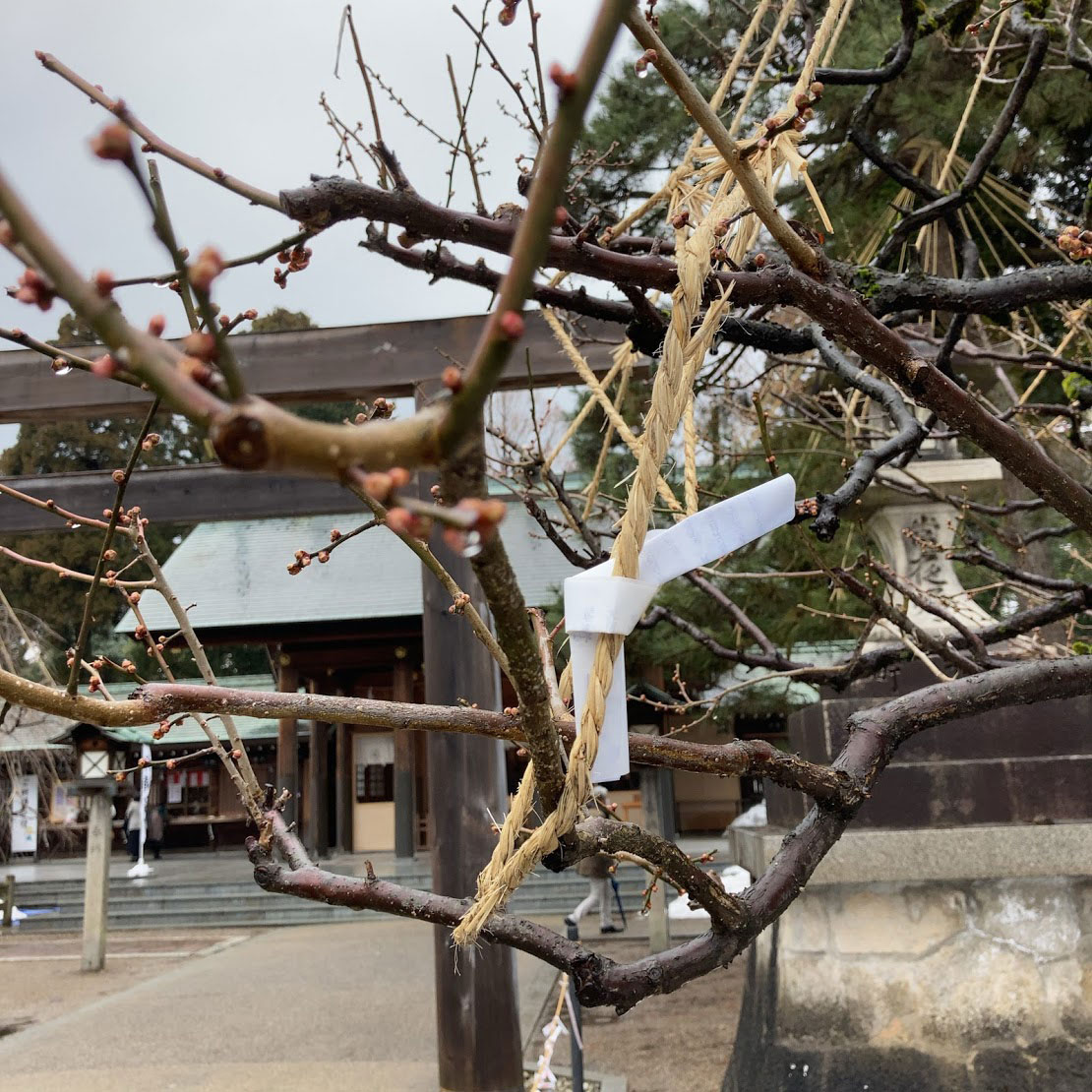 f:id:fukuitabi:20210215130738j:plain