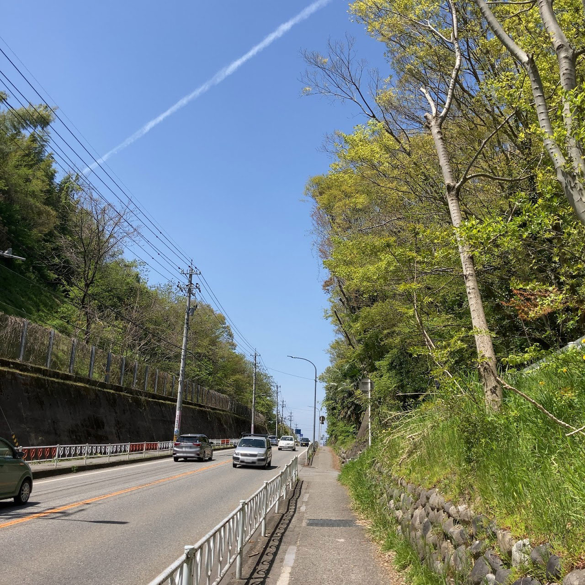 f:id:fukuitabi:20210423220554j:plain