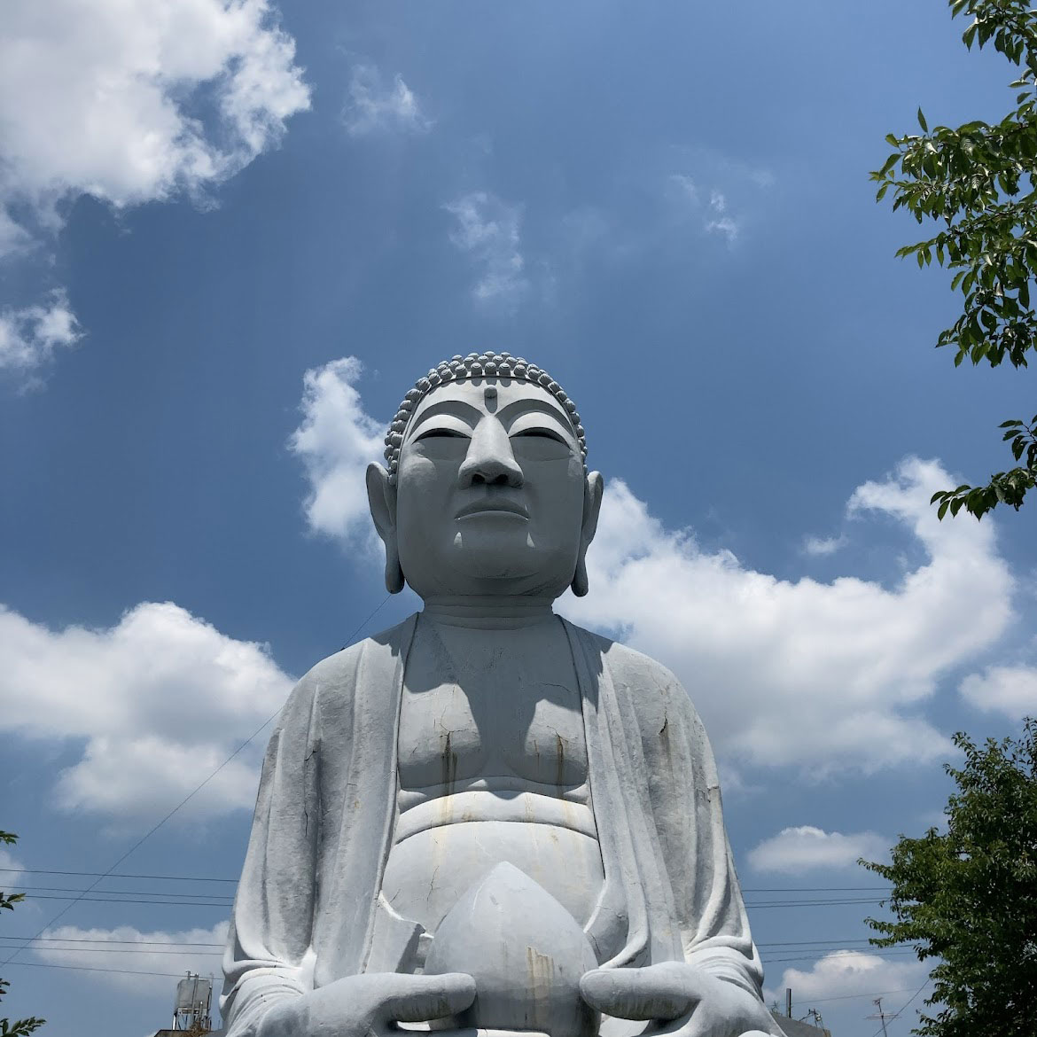 f:id:fukuitabi:20210722095221j:plain