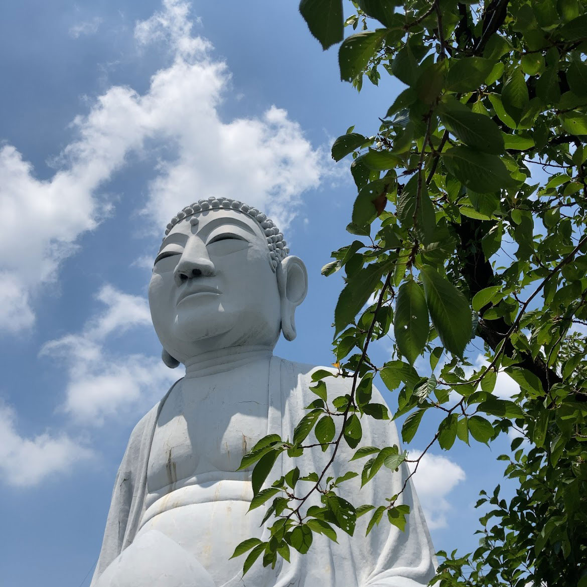 f:id:fukuitabi:20210722101310j:plain