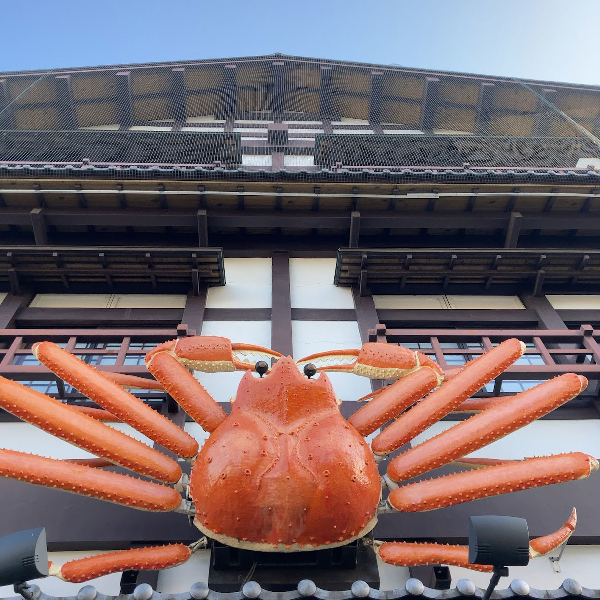 f:id:fukuitabi:20211018125948j:plain