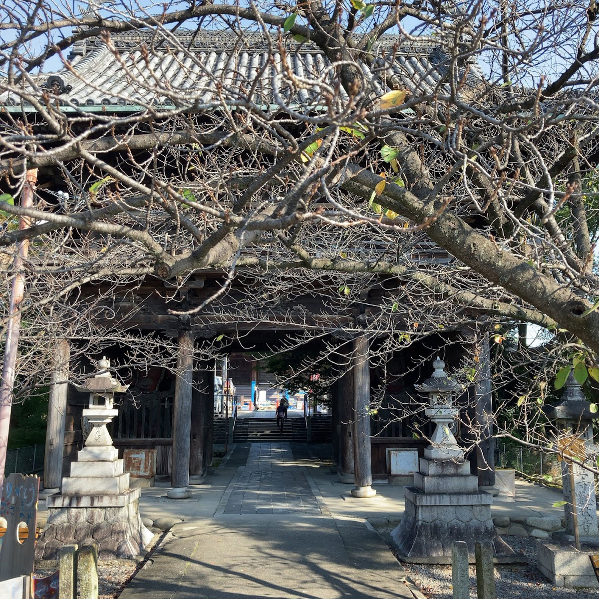 f:id:fukuitabi:20211018132913j:plain