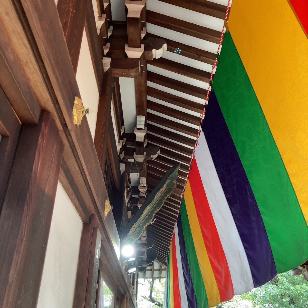 f:id:fukuitabi:20211018155937j:plain