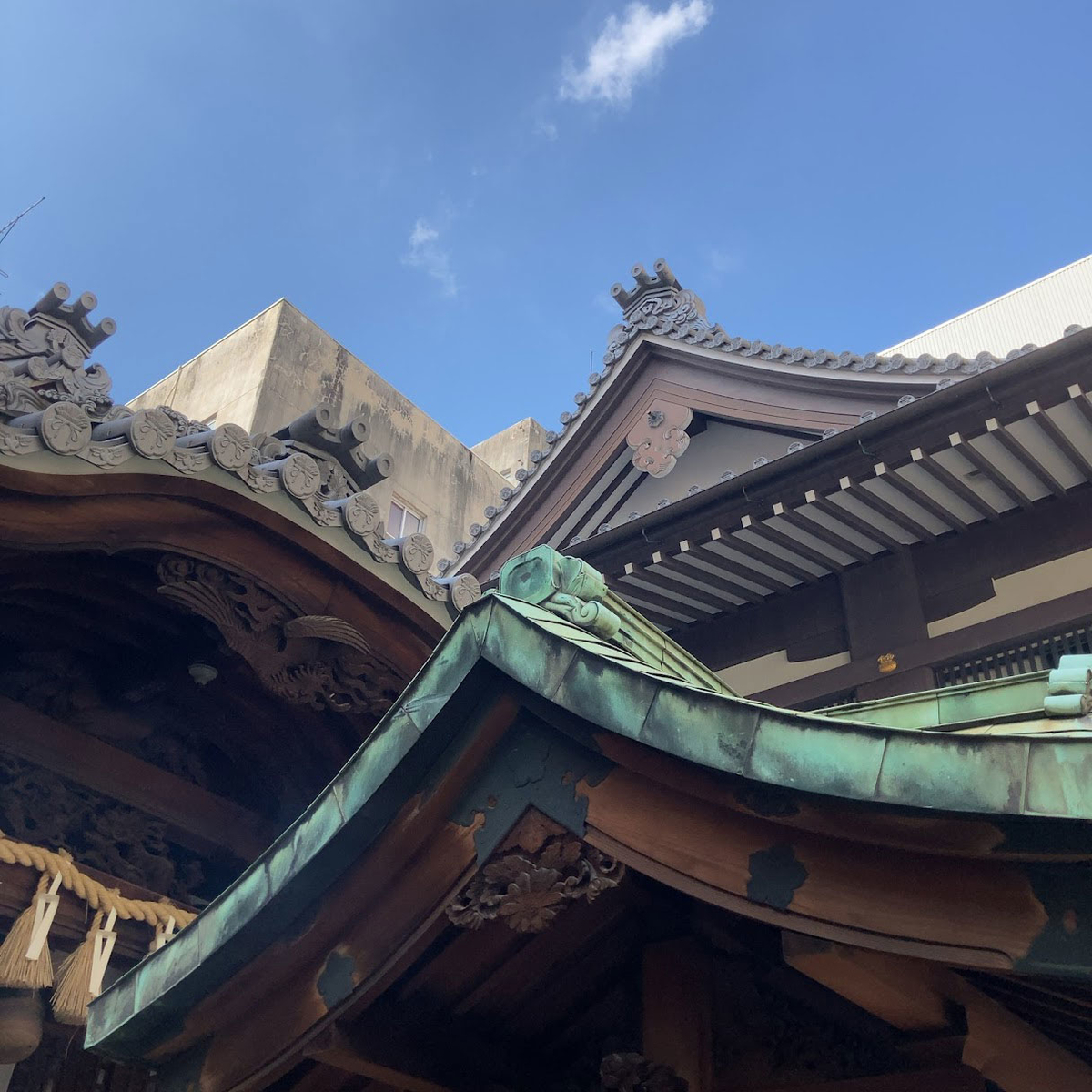 f:id:fukuitabi:20211018164134j:plain