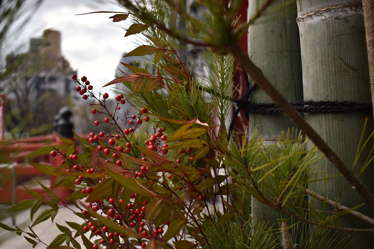 f:id:fukuitabi:20211227090516j:plain