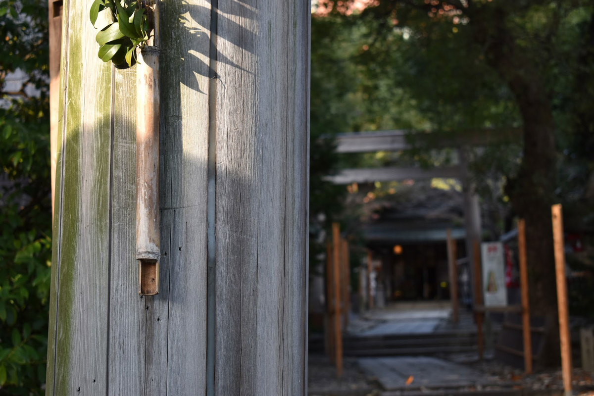 f:id:fukuitabi:20211227091101j:plain