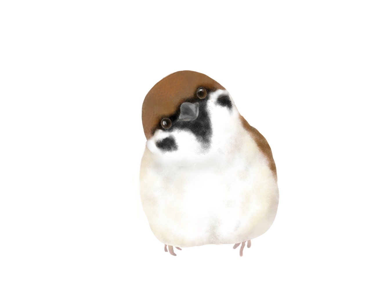 f:id:fukuitadashi:20251205101601j:image