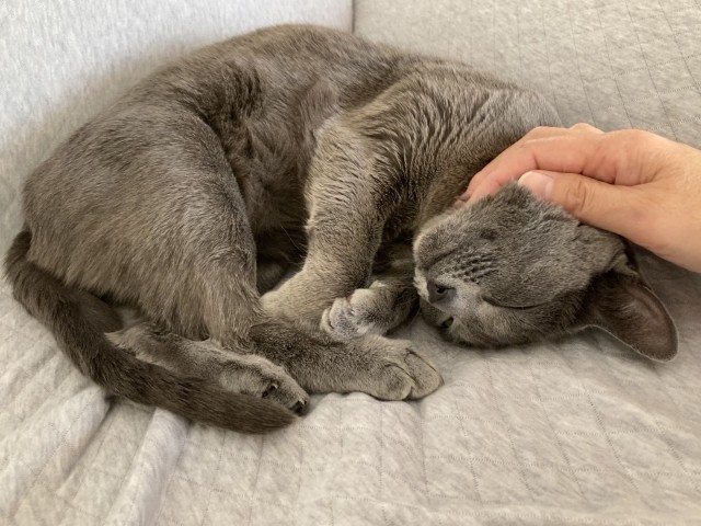 f:id:fukuitadashi:20251219092821j:image