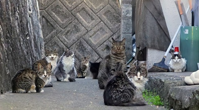 f:id:fukuitadashi:20251219092840j:image