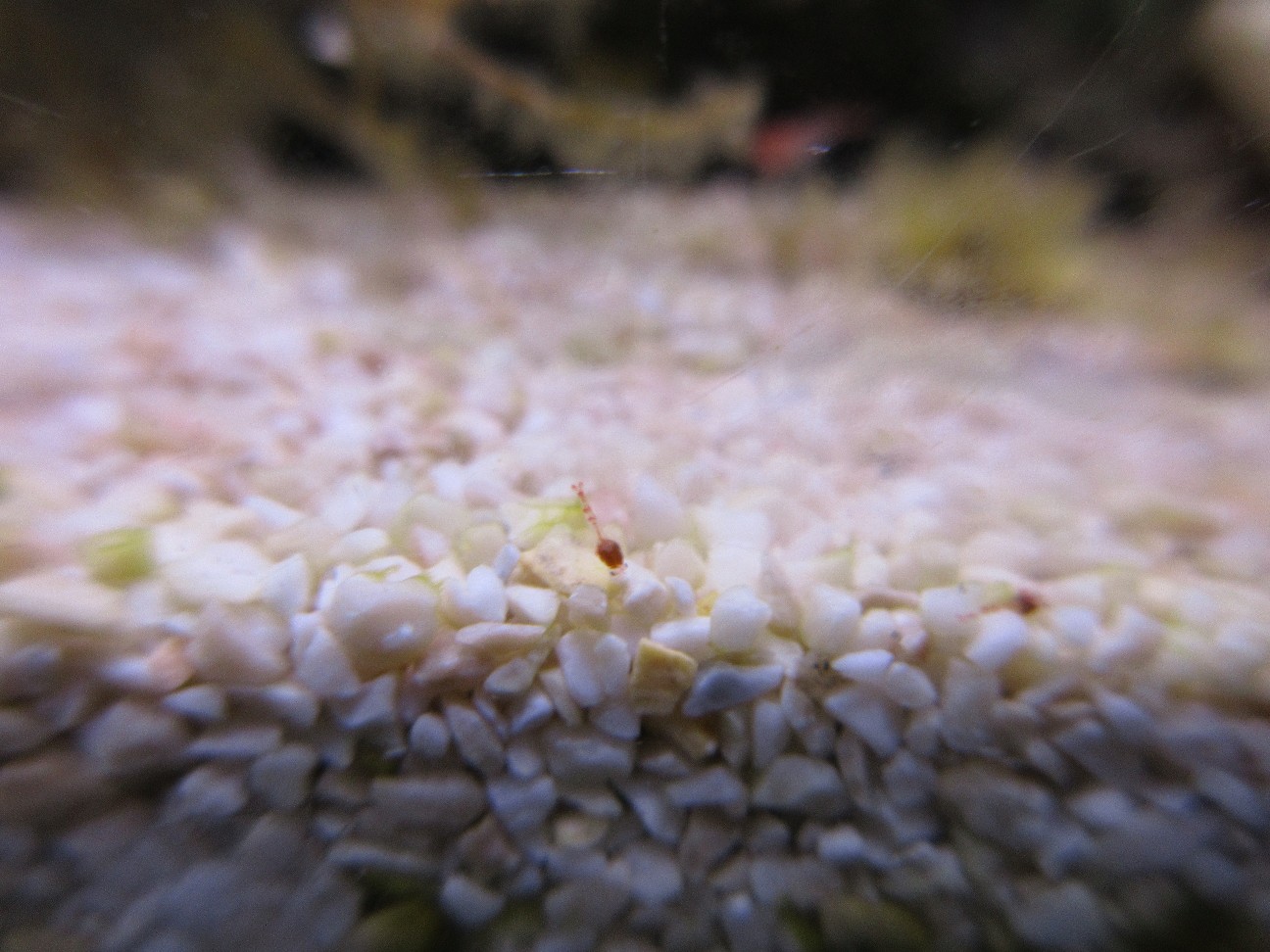 f:id:fukuitadashi:20260120135905j:image f:id:fukuitadashi:20260120135905j:image