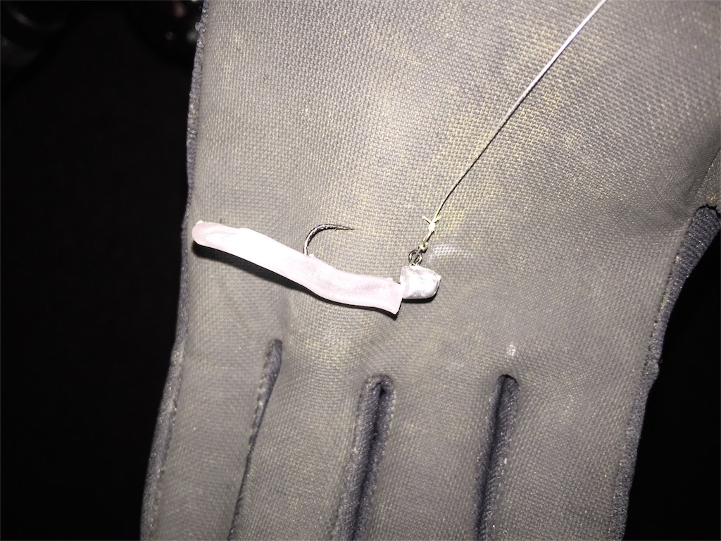 ひもｑで魚が釣れるらしいのでやってみた 連発ｗ ふくいゆうたどっとこむ