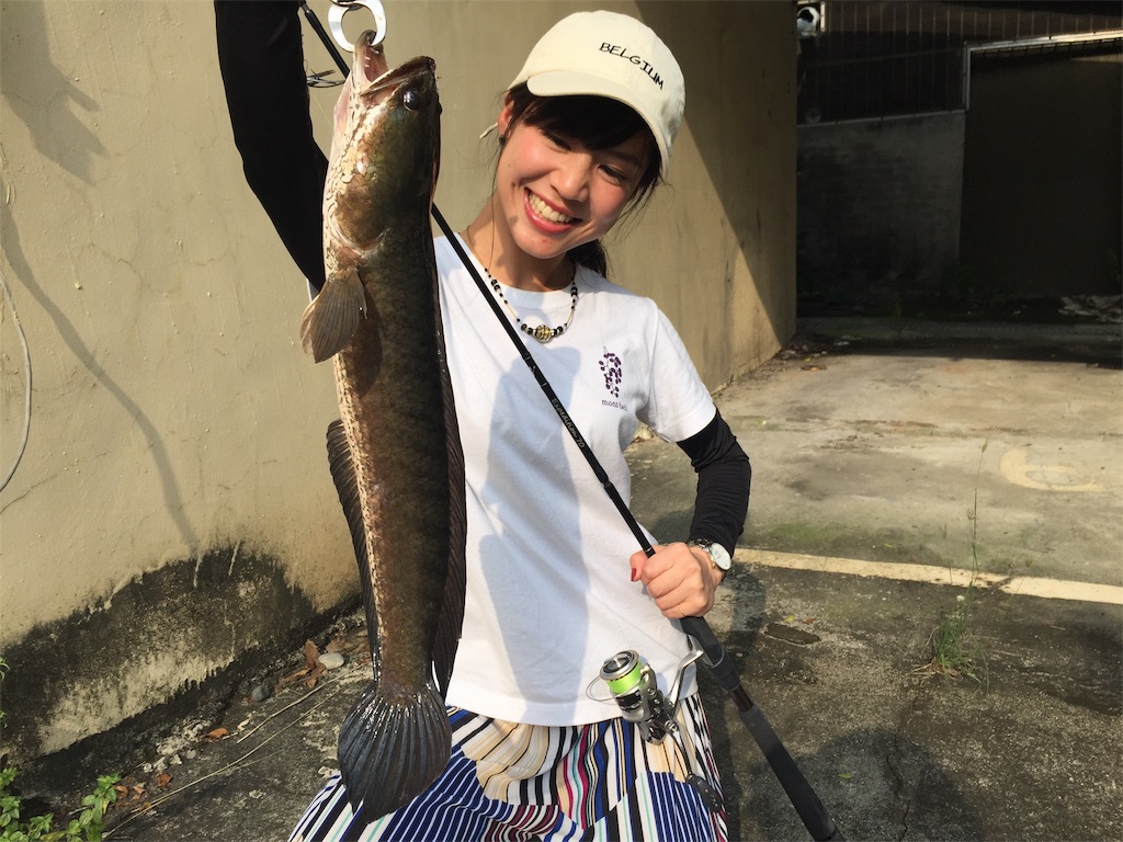 台湾の水路で雷魚 プラーチョン 釣り ふくいゆうたどっとこむ 台湾の水路で雷魚 プラーチョン 釣り ふくいゆうたどっとこむ