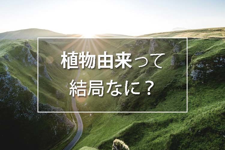 植物由来って結局なに
