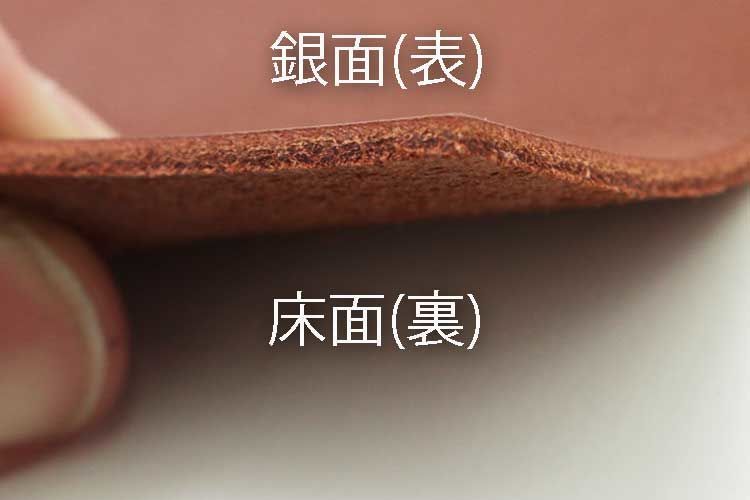 レザーの銀面と床面