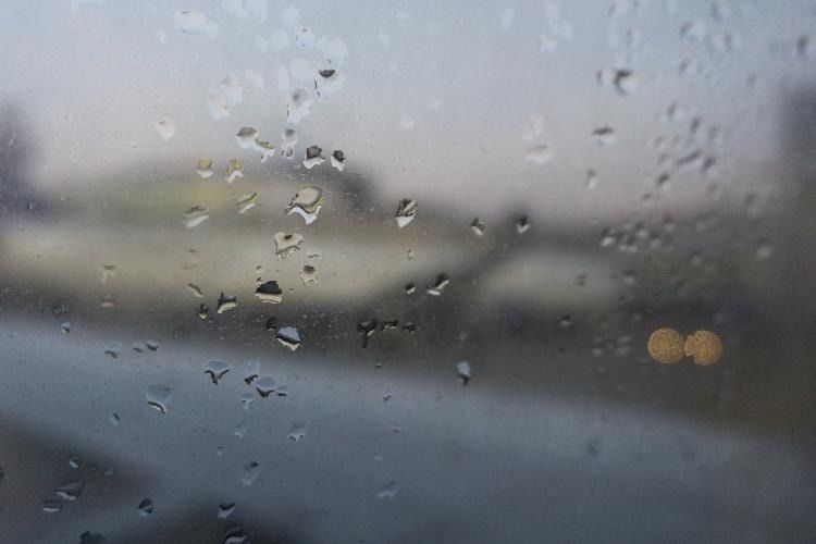 雨の日の様子