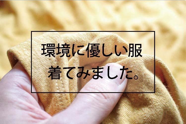 ゴーヘンプGOHEMPのヘンプTシャツのレビュー