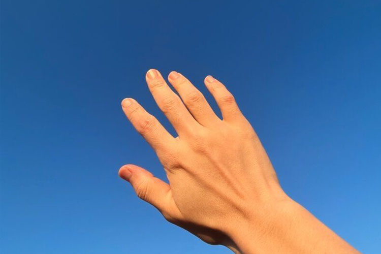 順光の光を手の甲で確かめる