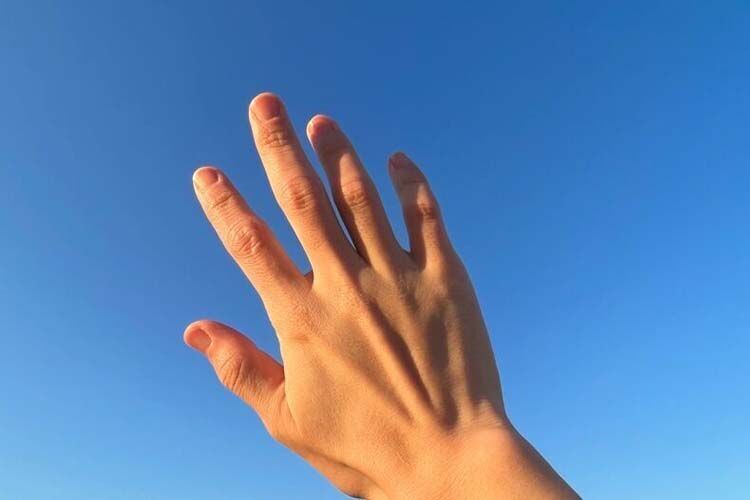 反逆光の手の甲