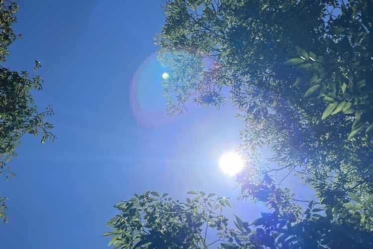 暑い夏の日の快晴な太陽の様子