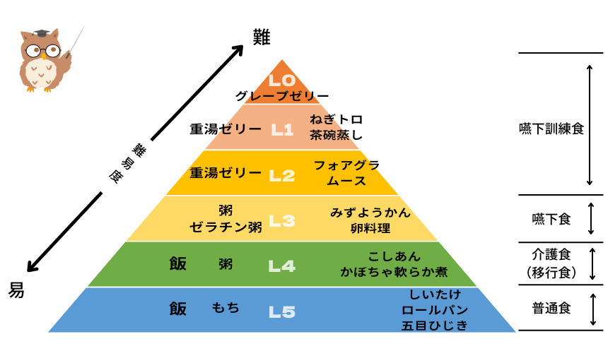 嚥下ピラミッドの画像
