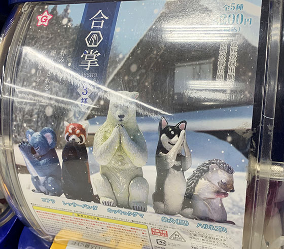 合掌している動物ガチャ 子育て日記 子供は小学1年生 合掌している動物ガチャ 子育て日記 子供は小学1年生