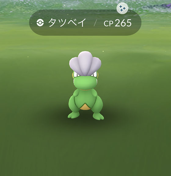 Pokemon Go Get