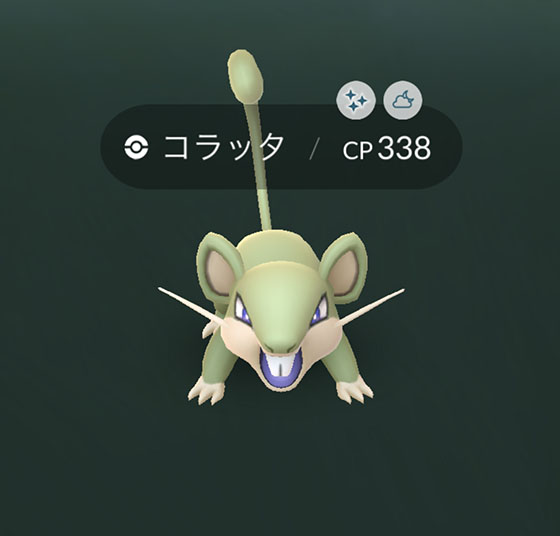 2匹目のコラッタの色違いをゲット Pokemon Go Get 2匹目のコラッタの色違いをゲット Pokemon Go Get