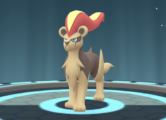 カロス地方のポケモンを進化 Pokemon Go Get
