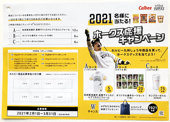f:id:fukumiminet:20210220210059j:plain
