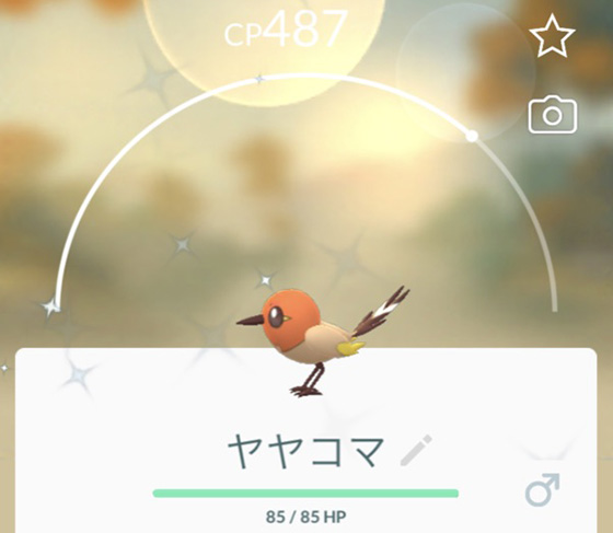 ヤヤコマのコミュニティデイを終えて Pokemon Go Get