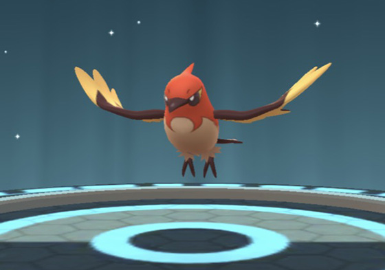 ヤヤコマのコミュニティデイを終えて Pokemon Go Get ヤヤコマのコミュニティデイを終えて Pokemon Go Get