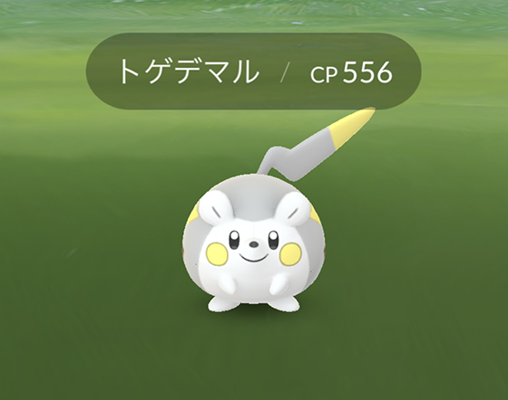 トゲデマルが実装され 初ゲット Pokemon Go Get