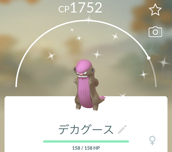 ミニリュウの復刻コミュニティデイとヤングースの色違い Pokemon Go Get