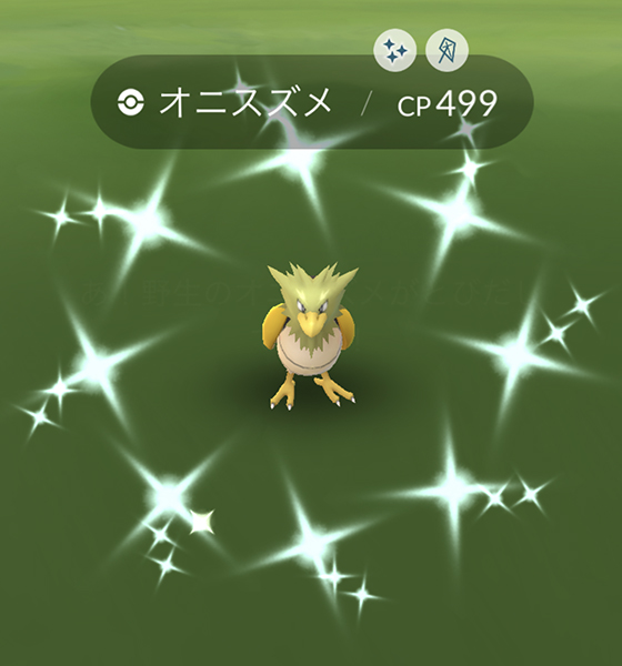 オニスズメの色違いを初ゲット！ - pokemon go get!