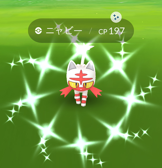 ニャビーのコミュニティデイを終えて - pokemon go get!