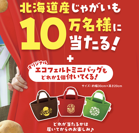 カルビー|2024カルビーキャンペーン大収穫祭 - 当たる可能性が カルビー|2024カルビーキャンペーン大収穫祭 - 当たる可能性が