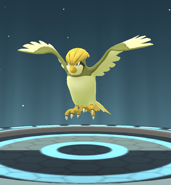 ピジョット アニメ ポケモンカード トップサン ポッポ ピジョン
