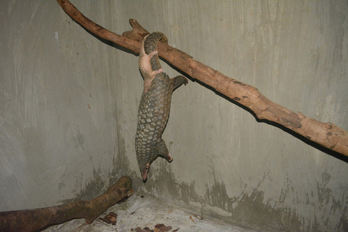 f:id:fukumorientes:20170621160300j:plain f:id:fukumorientes:20170621160300j:plain