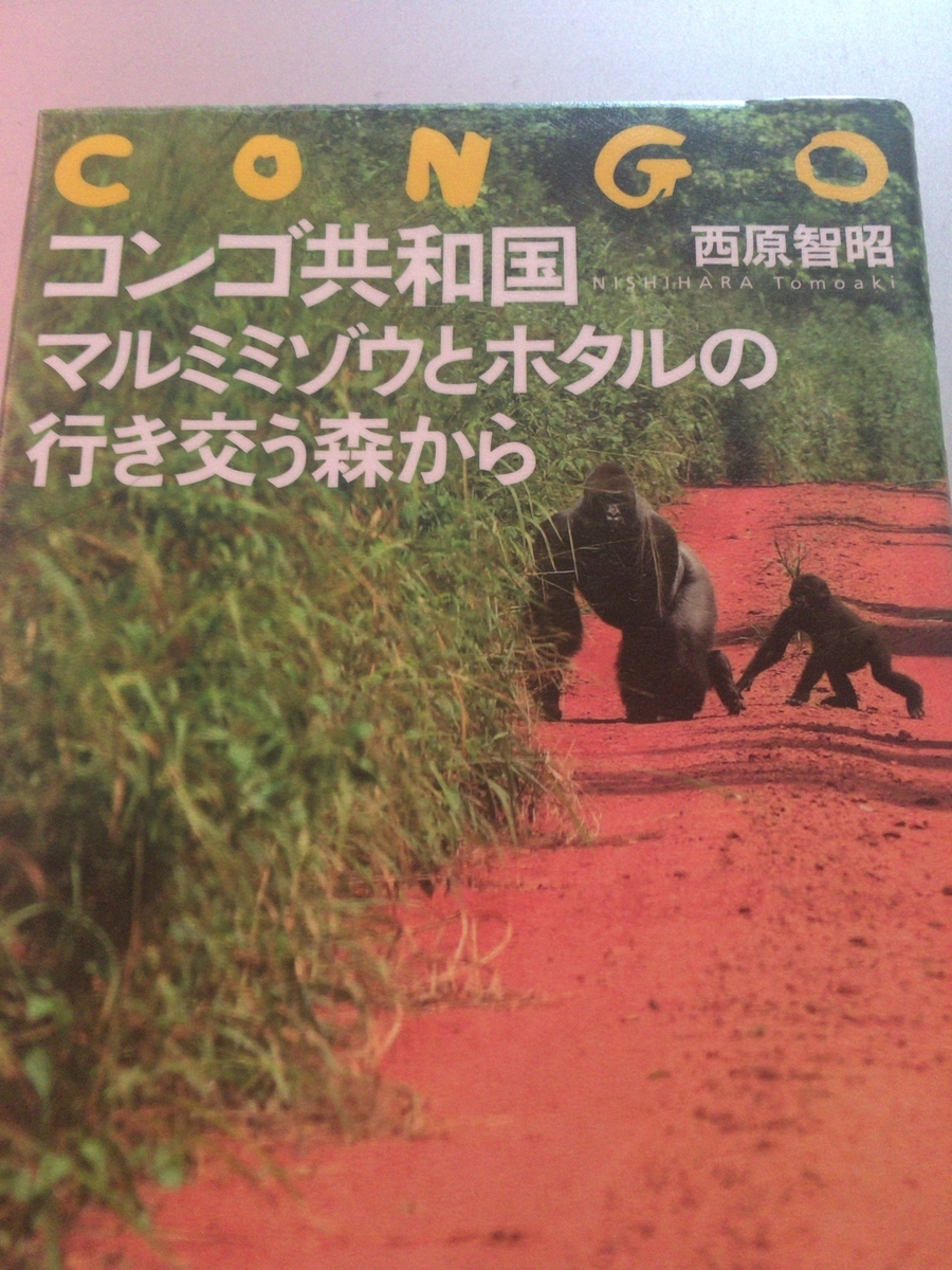 f:id:fukumorientes:20190422123901j:plain
