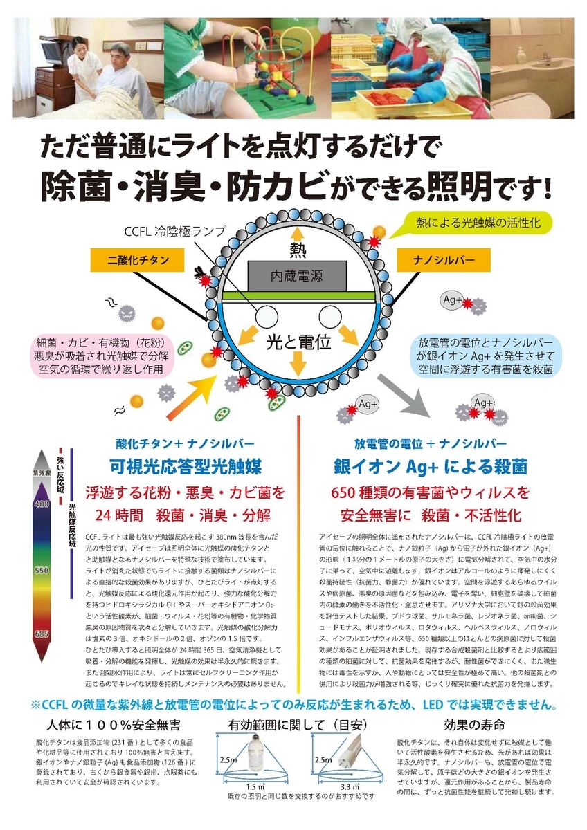 f:id:fukumotominority:20200213215053j:plain f:id:fukumotominority:20200213215053j:plain