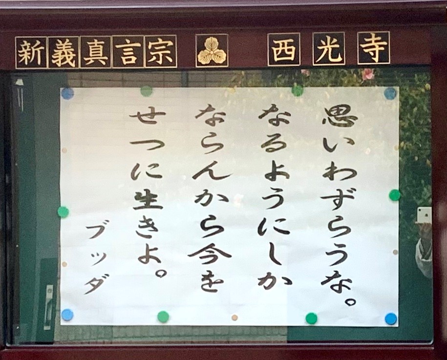 f:id:fukumotominority:20200513213114j:plain