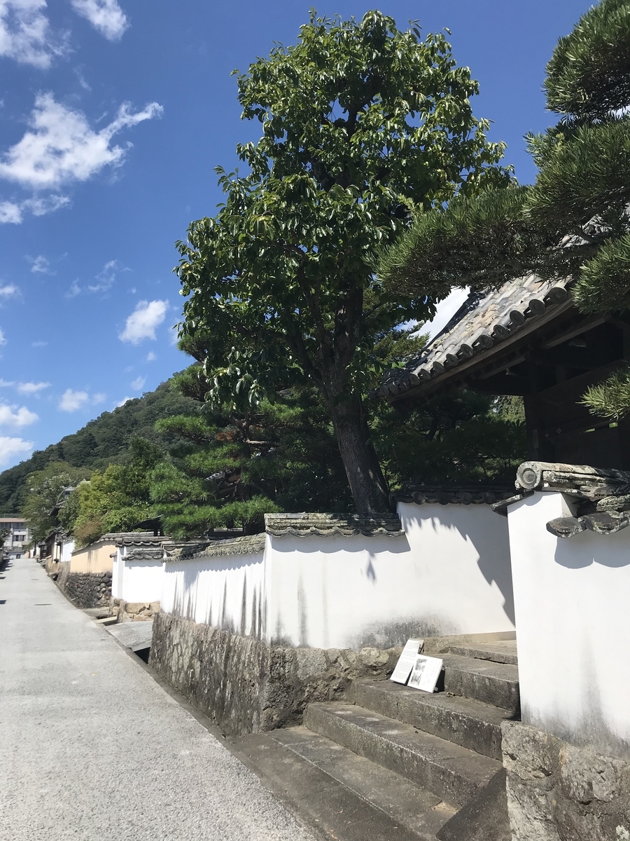 f:id:fukumotominority:20200815192021j:plain f:id:fukumotominority:20200815192021j:plain