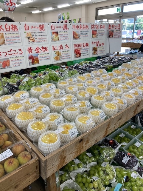 f:id:fukumotominority:20200830094022j:plain f:id:fukumotominority:20200830094022j:plain