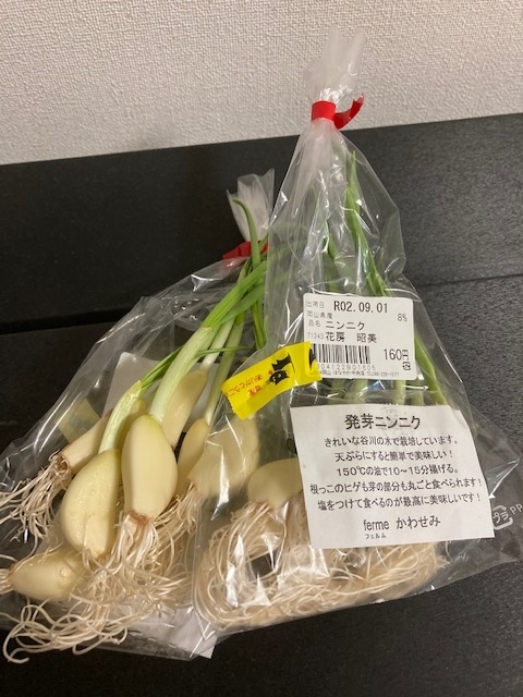 f:id:fukumotominority:20200906230933j:plain f:id:fukumotominority:20200906230933j:plain